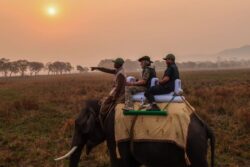 'This Morning...': After Safari at Assam's Kaziranga Park, PM Modi's Message on 'Enriching Soul' | Watch