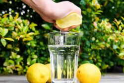 Lemon Sold for Rs 35,000 at Auction in TN Temple