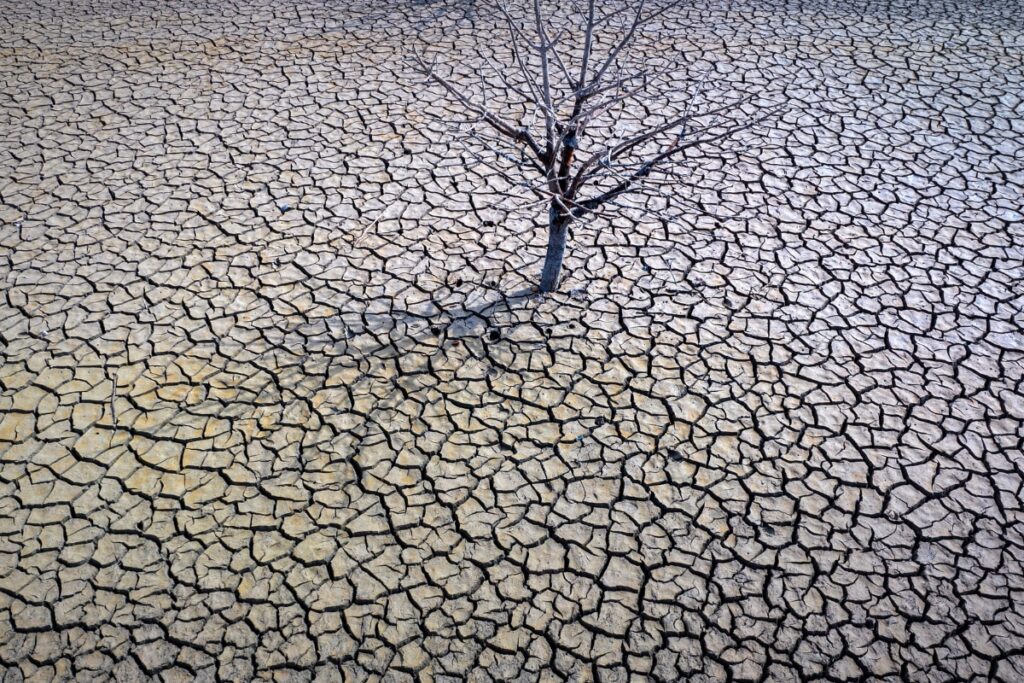 Global Average Temperatures 1.45℃ above Pre-Industrial Levels in 2023: WMO State of The Climate Report