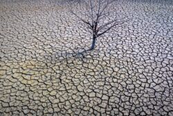 Global Average Temperatures 1.45℃ above Pre-Industrial Levels in 2023: WMO State of The Climate Report