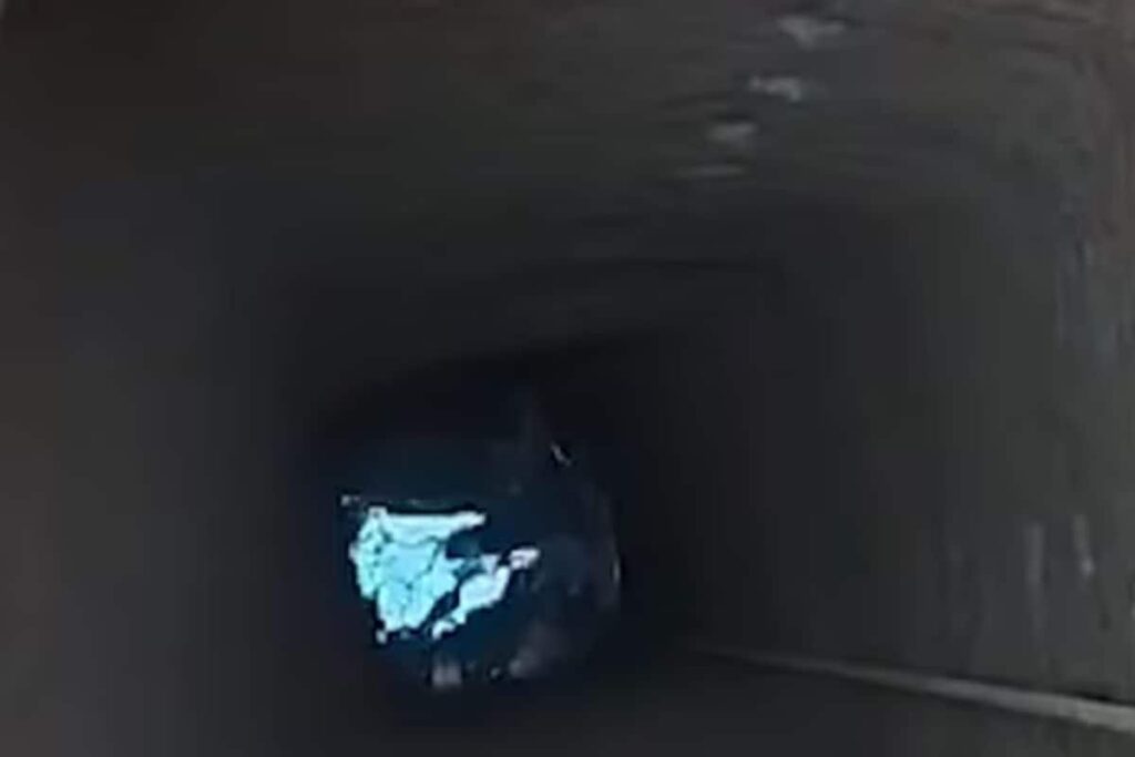 55-year-old Karnataka Woman Digs 45-foot-deep Well To Give Water To Anganwadi Kids