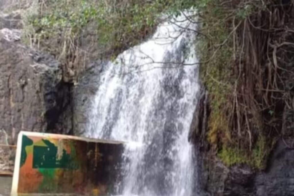 Tamil Nadu's Agasthiyar Falls Re-opened For Tourists After Tiger Census