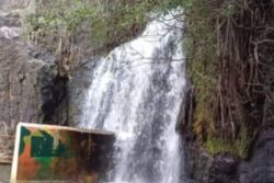 Tamil Nadu's Agasthiyar Falls Re-opened For Tourists After Tiger Census