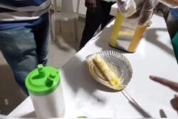 Puducherry's Thoranam Aayiram Festival Showcases Egg Kulfi, A Novel Twist To Traditional Treats