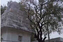 This Hanuman Temple In Telangana Is Home To Thousands Of Monkeys