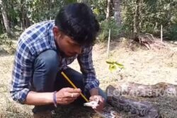 Unconscious Python Resurrected Using Artificial Respiration In Karnataka