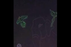 Watch: Vantara in Focus as Jamnagar Sky Dazzles With Drone Show For Anant Ambani-Radhika Merchant's Pre-Wedding Bash