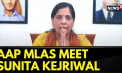 Sunita Kejriwal, Is Likely To Assume A "Significant Role" In The Aam Aadmi Party | Lok Sabha Polls