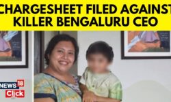 Chargesheet Filed Against Bengaluru CEO Who Killed Her Son