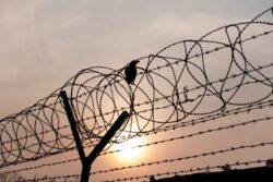 Andhra Pradesh: 13 Children Electrocuted in Ugadi Procession, No Fatalities