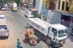 Bengaluru Biker Narrowly Escapes Truck Wheels After Bull Jumps On Him; Video Goes Viral