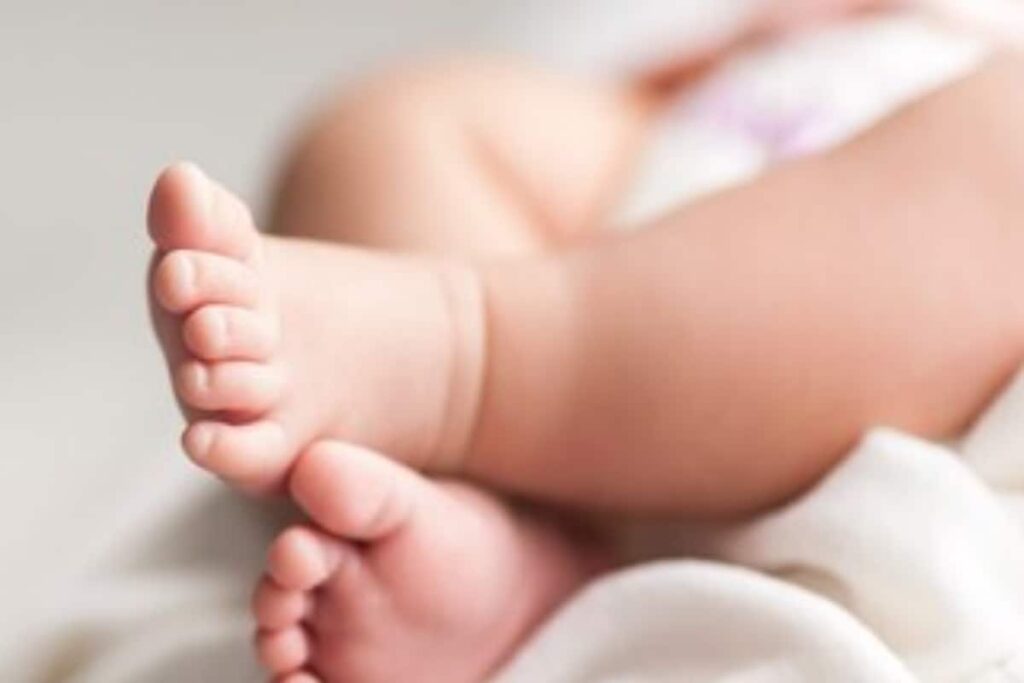 Sugar Controversy Sours for Nestle as FSSAI Scans Probe Report, Govt May Test Cerelac Samples