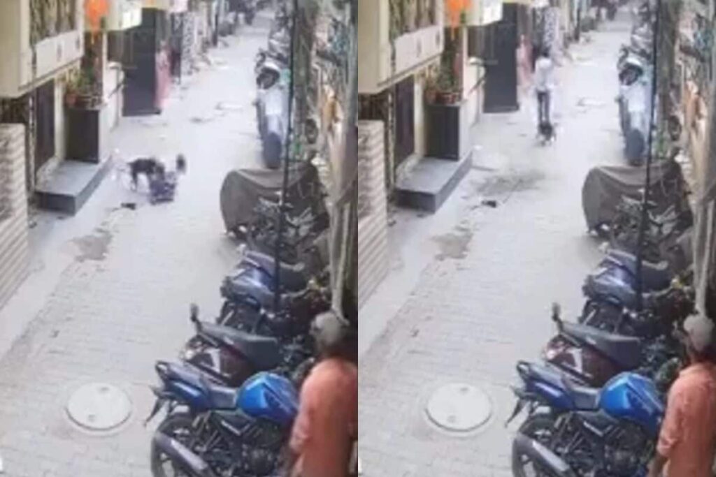 Caught on CCTV | Pit Bull Mauls Teen on Ghaziabad Lane, Stray Dogs Try To Rescue