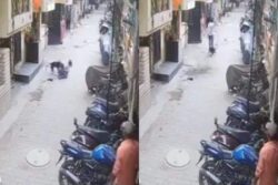 Caught on CCTV | Pit Bull Mauls Teen on Ghaziabad Lane, Stray Dogs Try To Rescue