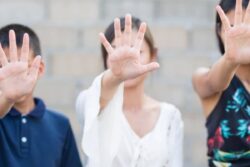 IPS Officer Repatriated to Parent Cadre Over Molestation Complaint | BSF Constable Had Lost Job for Harassing Woman