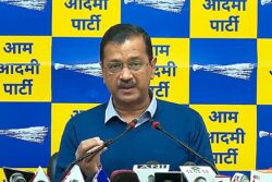 Kejriwal Wants Permission For 5 Legal Meetings A Week In Jail; Court Seeks Response From ED, Tihar Officials