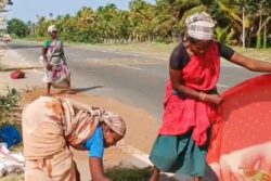 In Tamil Nadu's Theni, Locals Make Money Selling This Herb To Medical Shops