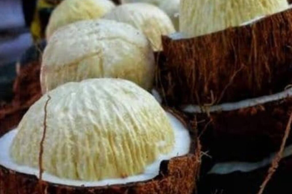 Coconut Flower Sales Witness Surge In Tamil Nadu's Viluppuram; A Look At Its Health Benefits