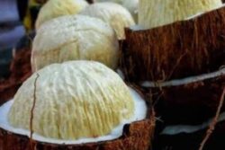 Coconut Flower Sales Witness Surge In Tamil Nadu's Viluppuram; A Look At Its Health Benefits