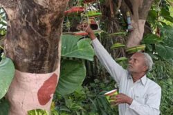 In Telangana's Nizamabad, This Retired Govt Employee Makes Nests For Sparrows