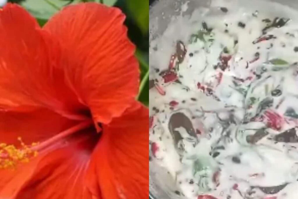 How To Make Karnataka-style Hibiscus Gojju At Home