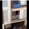 Caught On Cam | Infant Falls From 4th Floor, Gets Stuck On Tin Roof Of Chennai Apartment, Rescued By Residents