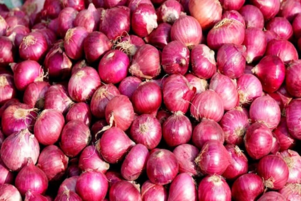 Centre Allows 99.5k Tons Of Onion Exports To 6 Neighbouring Nations