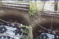 This House Well In Udupi Is Overflowing Amid Karnataka Water Crisis