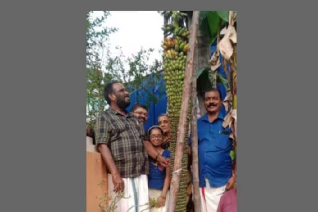 In Kerala's Avanavanchery, Why This Banana Plant Is Attracting Visitors