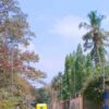 Why Kerala’s Manaveeyam Veedhi Road Is A Major Tourist Attraction