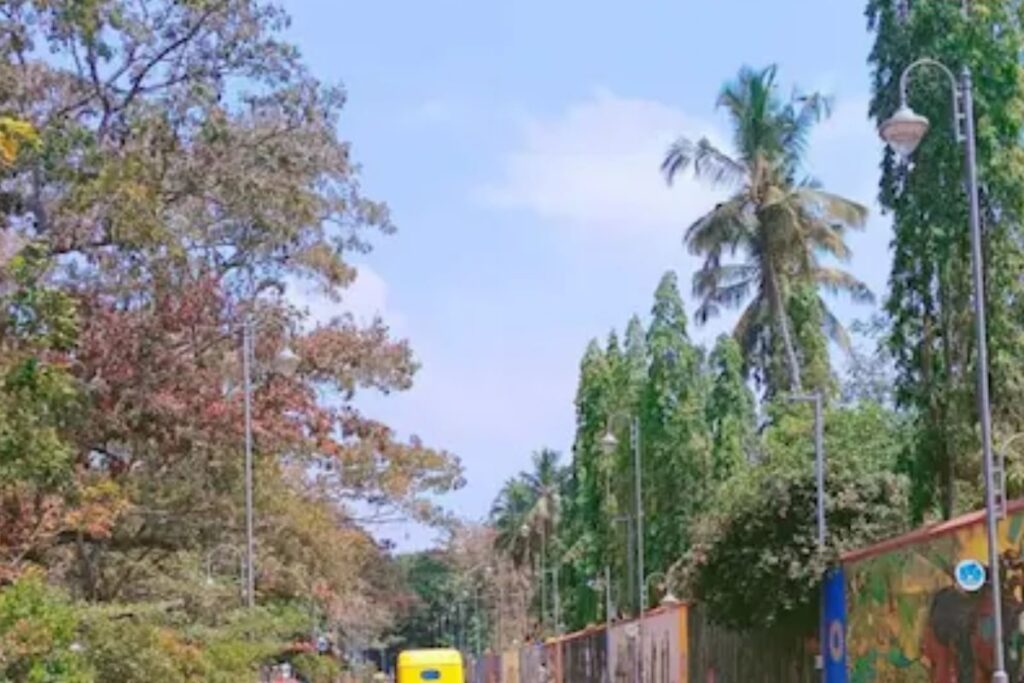 Why Kerala's Manaveeyam Veedhi Road Is A Major Tourist Attraction