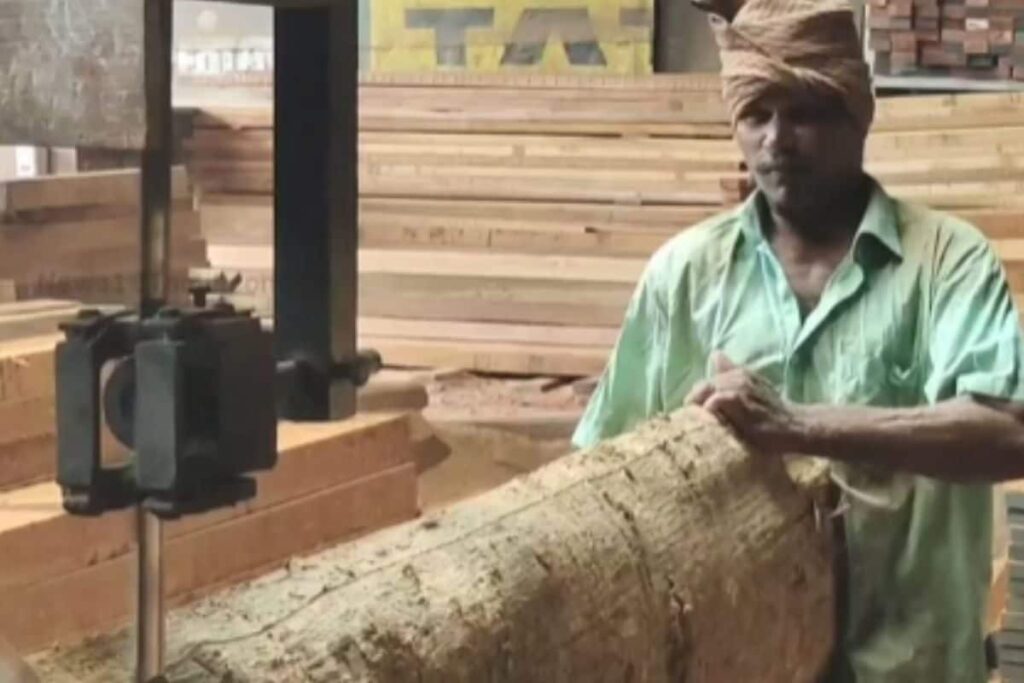 Tenkasi's Timber Traders Turn To Overseas Markets Amid Local Tree Felling Ban