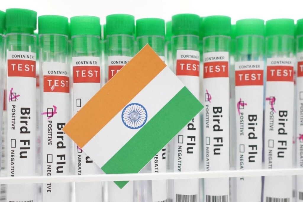 Chance of Pandemic with Bird Flu Low, But Crucial to Keep Close Watch: ICMR's Top Virologist to News18