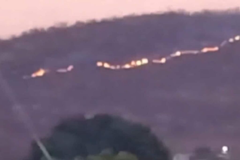 Wildfire In Somasila Forest of Andhra's Nellore, Efforts To Douse Blaze Underway