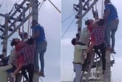 Woman Cheating On Husband Climbs Electric Pole After Affair Busted, Wants All To Live Together | Video