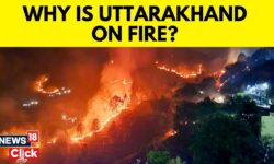 Why Are Uttarakhand Forest Fires Becoming Unmanageable? How Can Wildfires Be Prevented? | N18V