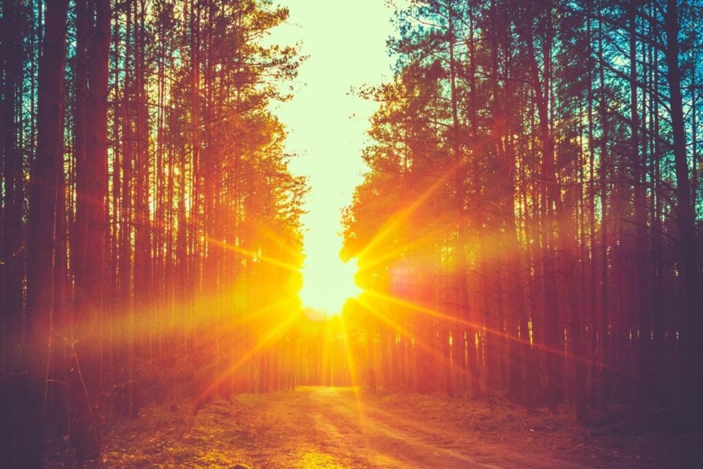 Aaj Ka Panchang, 7 May, 2024: Tithi, Vrat, and Today’s Shubh, Ashubh Muhurat