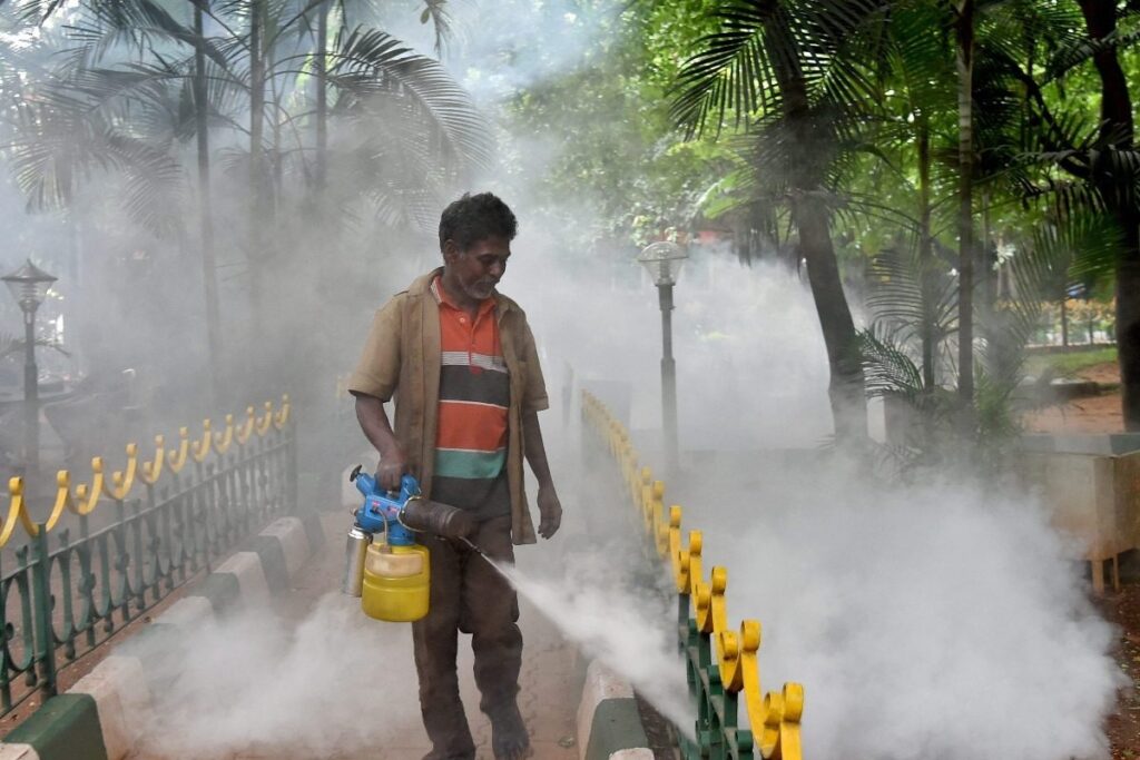 Dengue Cases Surge In Bengaluru: Civic Body Implements Measures, Doctors Offer Advice For Pregnant Women, Children