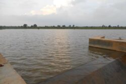 Maharashtra: Water Stock In Dams Drops to 22 Per Cent