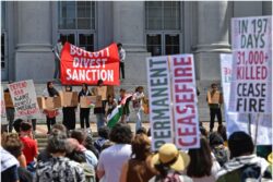 Pro-Palestine Protesters In New Jersey's Rutgers Call Kashmiris An 'Occupied People'