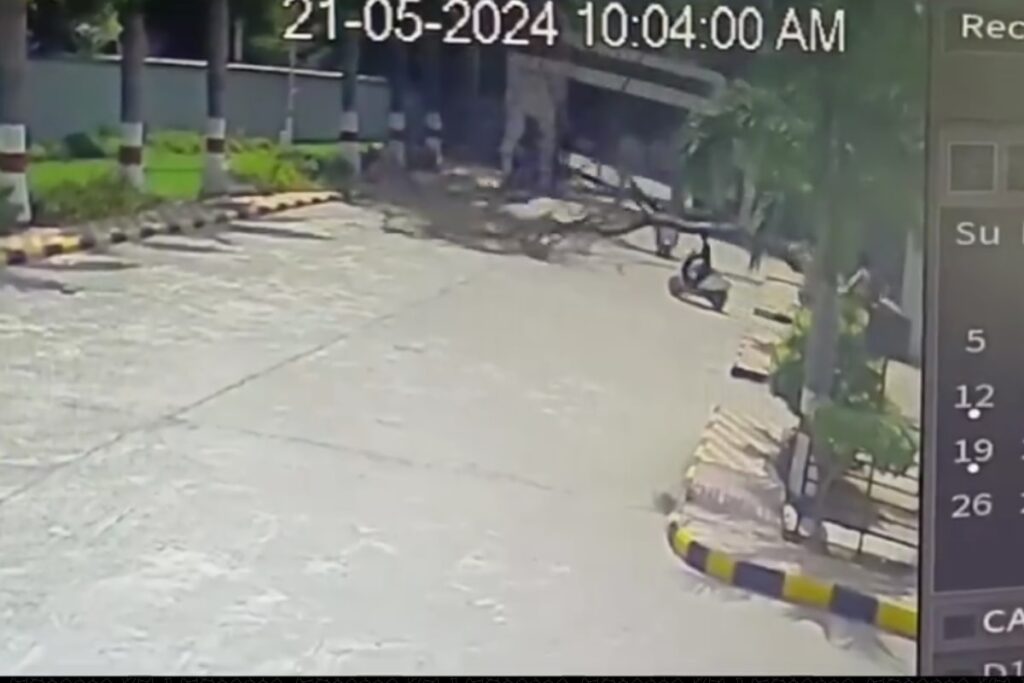 On Cam, Nearly-Uprooted Tree Falls on Bike-borne Couple in Hyderabad; Man Dies On Spot