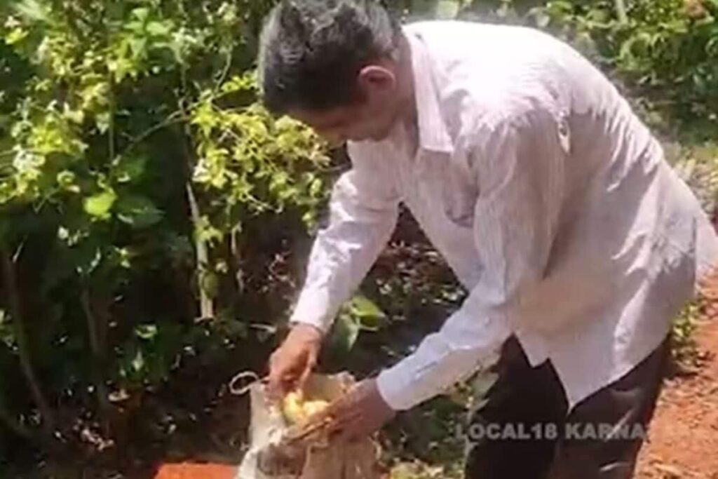 In Uttara Kannada, Two Men Build Machine To Develop Waterproof Paper Bags From Waste Material