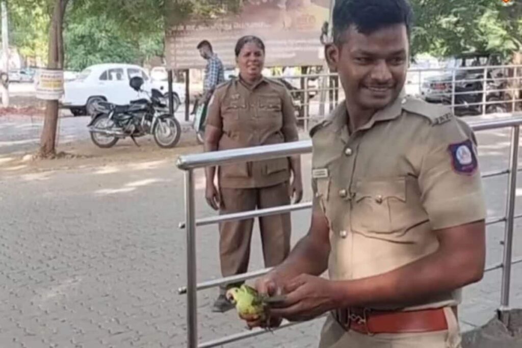 In Tamil Nadu, Police Constable Revives Parrot That Fainted Due To Heat Stroke