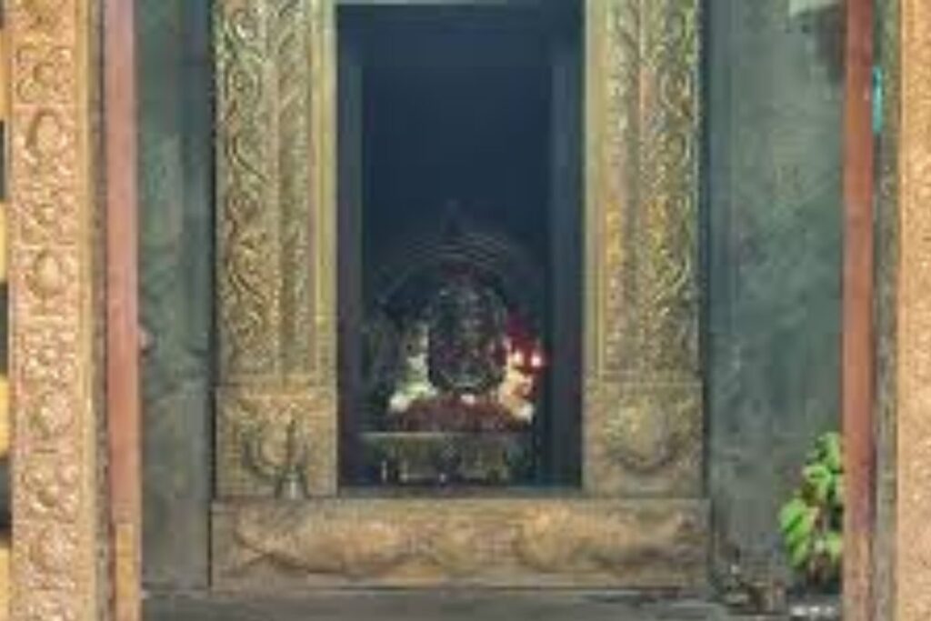 At This Karnataka Temple, Mahseer Fish Are Worshipped