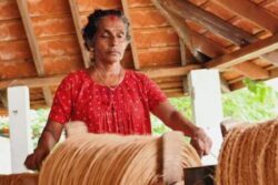 Why Kerala's Alappuzha Is Famous For Its Coir Industry
