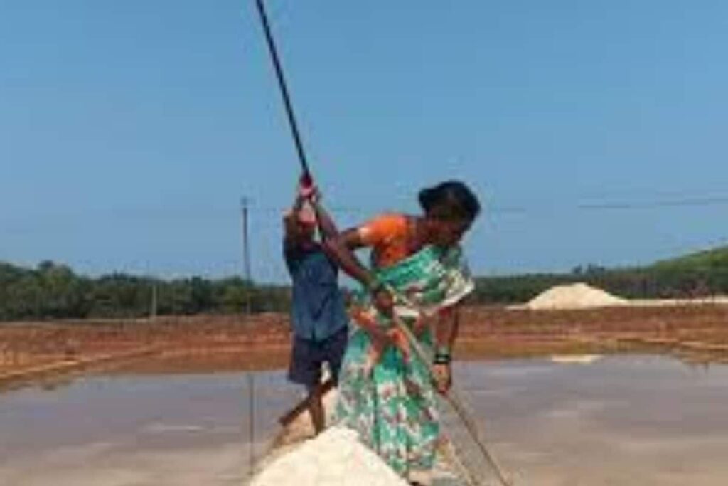 In This Uttara Kannada Community, Married Couples Manufacture Salt For Better Married Life