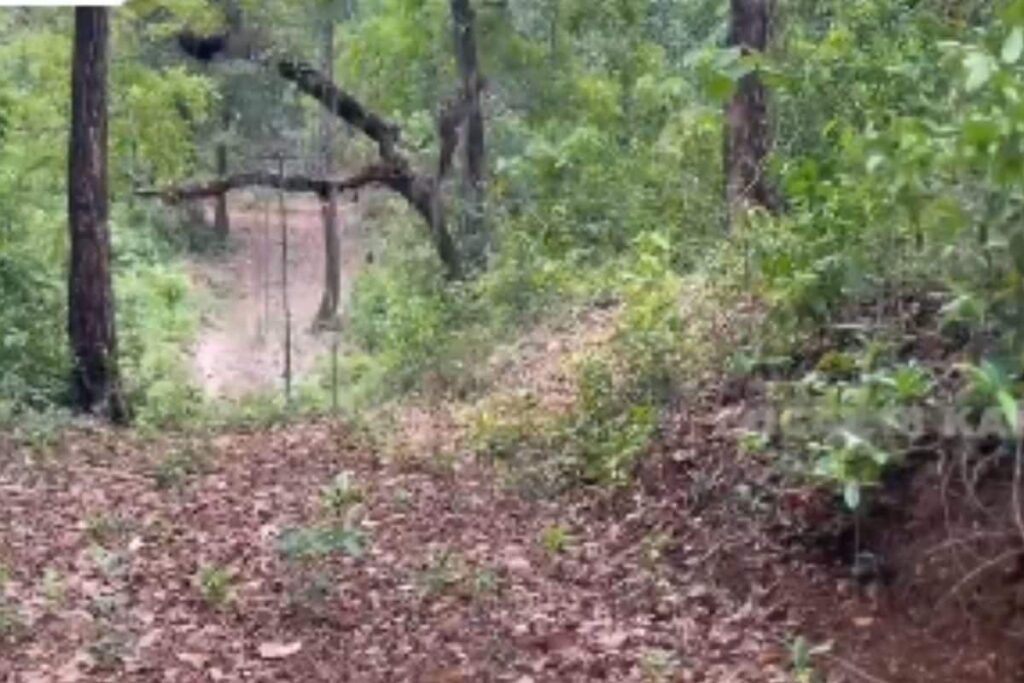 In Dakshin Kannada, Solar Fence Installed To Stop Wild Elephants From Entering Agricultural Lands