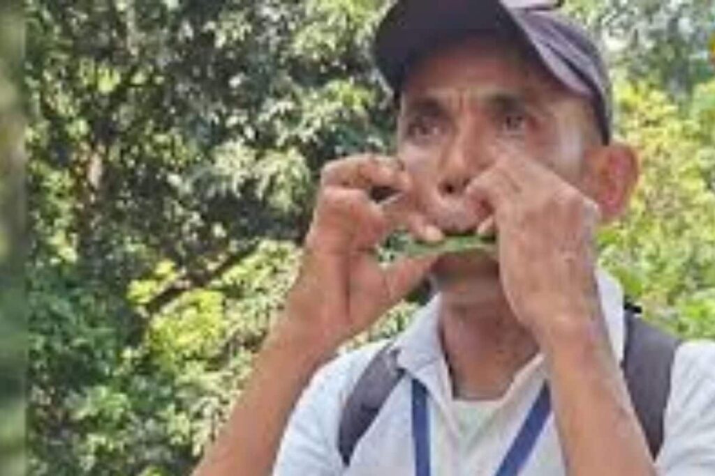 In West Bengal's Buxa, Travel Guide Entertains Tourists Playing Flute Made Of Leaves