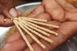 Bael Garland Makers In Bengal's Shushunia Village Seek Govt Support