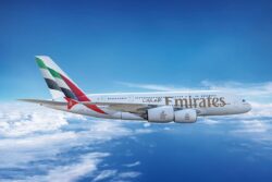 Emirates Flight Damaged After Being Struck By Flock of Flamingos Near Mumbai; Over 30 Birds Dead